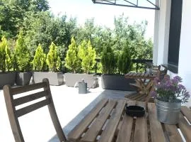 Grocka Apartmani & rooms