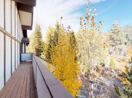 Squaw Valley Ski Flat, vacation home in Olympic Valley