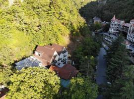 Borjomi UnderWood, hotel en Borjomi