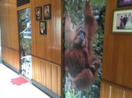 Arut Riverside Guesthouse, hotel i Pangkalan Bun