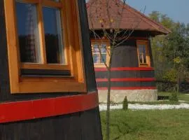 Eko selo Kostunici