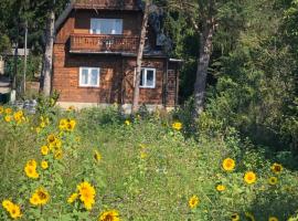 Vacationhome in the vineyards, hotel perto de Monte Hermannskogel, Viena