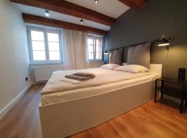 Apartament na starówce Toruń, hotel cerca de Estación Central de tren, Toruń