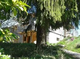 LES ACACIAS