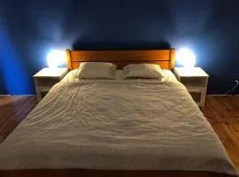 Apartament przy zoo