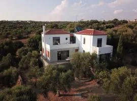 LIOFYTO - Stylish villa with views to Foinikounda bay