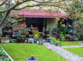 桐庐舍予民宿 Tonglu Sheyu Country House