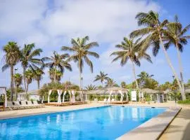 Oasis Belorizonte