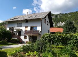 Apartment Ajdna, hotel con estacionamiento en Žirovnica