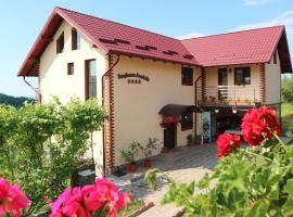 Pensiunea Luminita, cheap hotel in Mustăţeşti