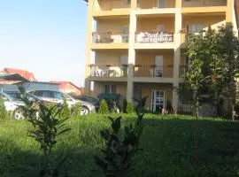 Pensiunea Cipri