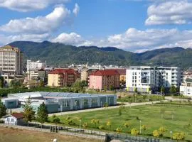 Central ParkView Apartment