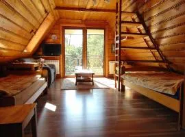 Homestay Srebrny Potok