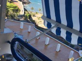 Studio Overlooking The Ocean, pet-friendly hotel in Playa Paraiso