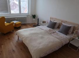 Luxurious apartment 3 min walk to city center - snack, beverages included in price, hotel with parking in Spišská Nová Ves