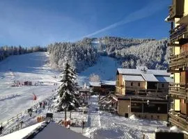 Un Isard au Pied des Pistes