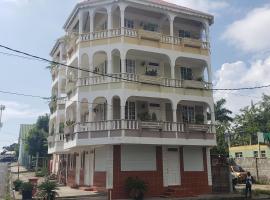 Unit 2 Private Apartment - Roseau, hotel near Canefield Airport - DCF, 