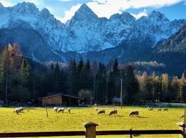 Mountain peaks Apartment with Sauna, hotel in Gozd Martuljek