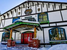 Black Forest Lodge, hotel em Big Bear Lake