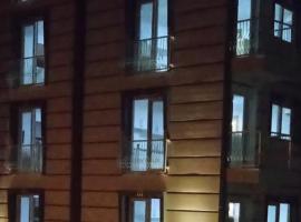 ÇİÇEK APART OTEL, accessible hotel in Didim