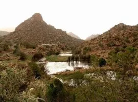 الركائز للشقق المخدومة