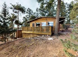 Little Doe Cabin, holiday home in Woodland Park