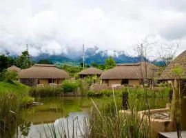 Montis Resort