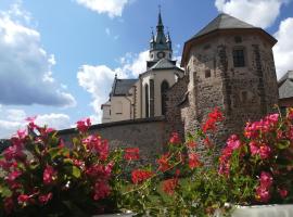 Pod Zámkom, hotel near Kremnica Town Castle, Kremnica