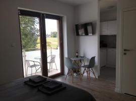 Studio Fibra Lungo, apartment in Rybnik