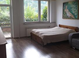 Zielona Przystań Apartament z widokiem na Pieniny, hotel a Jaworki