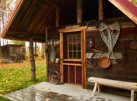 Trapper John's Cabin & Cottages, отель в городе Талкитна