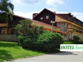 Hotel Šumava, hotel ve Zdíkově