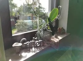 Ferienwohnung Nordlicht