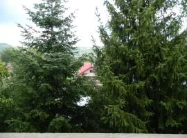 Hotel Breaza