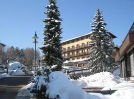 Life Hotels Des Alpes