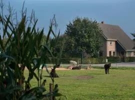 Bed & Breakfast 'Op 7'