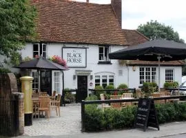 The Black Horse Fulmer