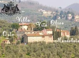 Fattoria di Fubbiano