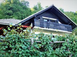 Vineyard Cottage Zajc, holiday rental in Semič