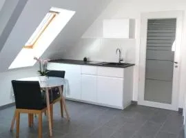 Charmant sudio aux portes de Colmar