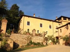 Torraccia di Chiusi Agriturismo Relais