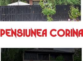 Pensiunea Corina Boutique, hotel in Craiova