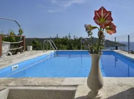 Apartments Toni - with pool and view