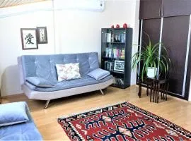 Comfy roof with terrace - 4 TH FLOOR WITHOUT LIFT-1 Air Conditioner