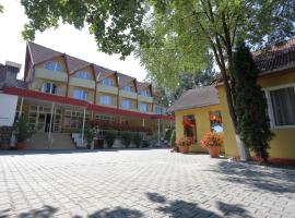 Pensiunea Grandlion، فندق رخيص في Gorneşti