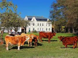 5 hotel in Lübbenau 5 hotel in Lübbenau