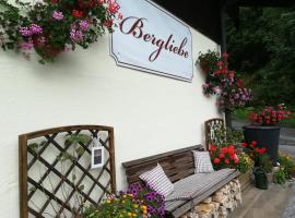 Haus Bergliebe, guest house in Filzmoos