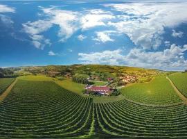 Stupnički Dvori Winery Hotel, hotel u gradu Brodski Stupnik