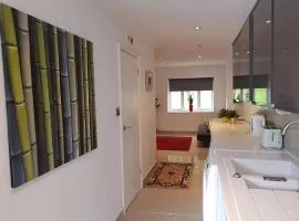 Modern split level flat in Croydon (south) London