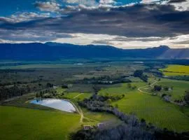Fraaigelegen Farm - Home of ADHARA EVOO